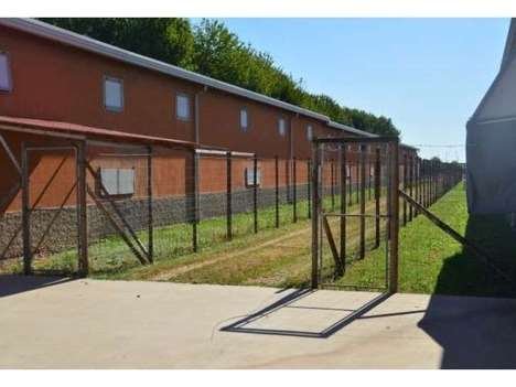 terreno agricolo in vendita a San Donà di Piave