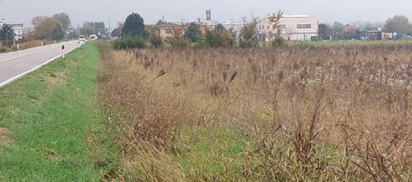 terreno edificabile in vendita a San Donà di Piave in zona Mussetta di Sopra