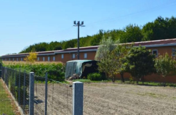 terreno agricolo in vendita a San Donà di Piave