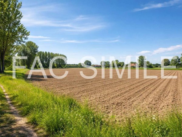 terreno agricolo in vendita a San Donà di Piave in zona Chiesanuova