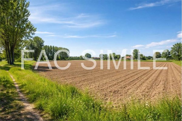 terreno agricolo in vendita a San Donà di Piave in zona Chiesanuova