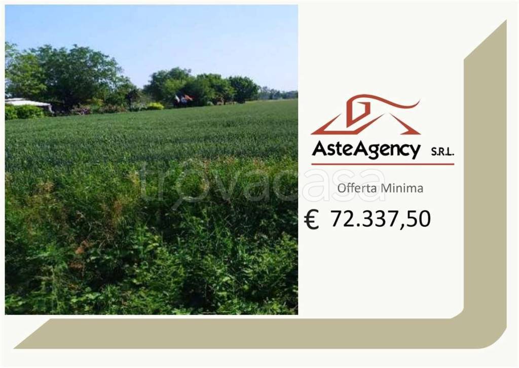 terreno agricolo in vendita a San Donà di Piave