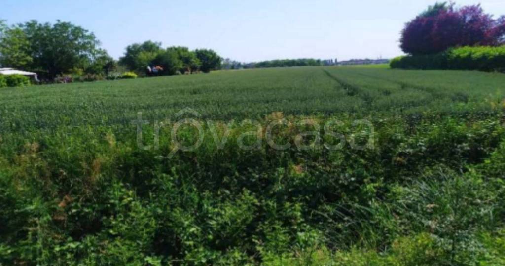 terreno agricolo in vendita a San Donà di Piave