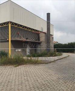 immagine annuncio 0 di 2