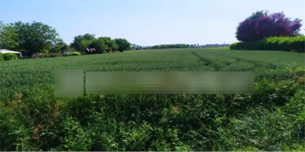 terreno edificabile in vendita a San Donà di Piave