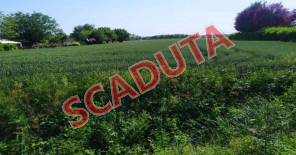 terreno agricolo in vendita a San Donà di Piave