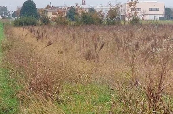 terreno edificabile in vendita a San Donà di Piave in zona Mussetta di Sopra
