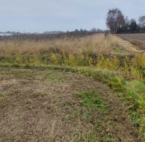 terreno edificabile in vendita a San Donà di Piave in zona Mussetta di Sopra