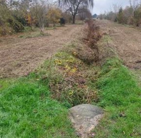 terreno edificabile in vendita a San Donà di Piave in zona Mussetta di Sopra