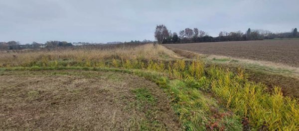 terreno edificabile in vendita a San Donà di Piave in zona Mussetta di Sopra