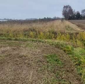 terreno agricolo in vendita a San Donà di Piave in zona Mussetta di Sopra