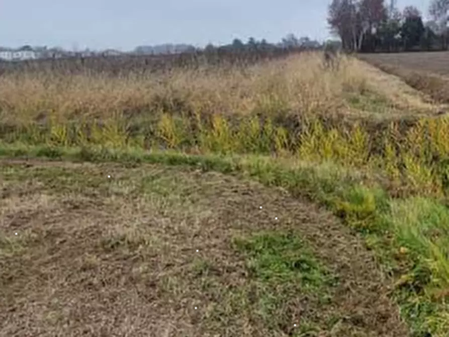 terreno edificabile in vendita a San Donà di Piave in zona Mussetta di Sopra