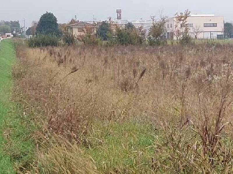 terreno edificabile in vendita a San Donà di Piave in zona Mussetta di Sopra