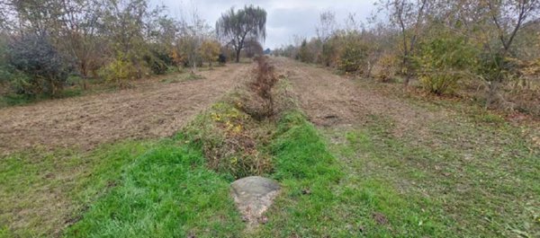 terreno edificabile in vendita a San Donà di Piave in zona Mussetta di Sopra