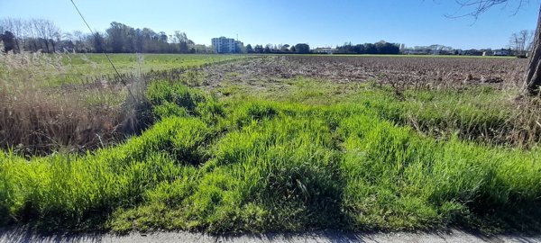 terreno in vendita a San Donà di Piave in zona Jutificio