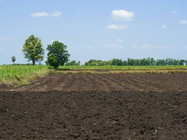 terreno in vendita a San Donà di Piave