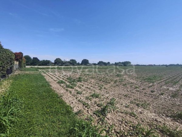 terreno in vendita a San Donà di Piave in zona Chiesanuova