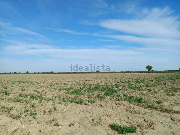 terreno in vendita a San Donà di Piave in zona Fossà