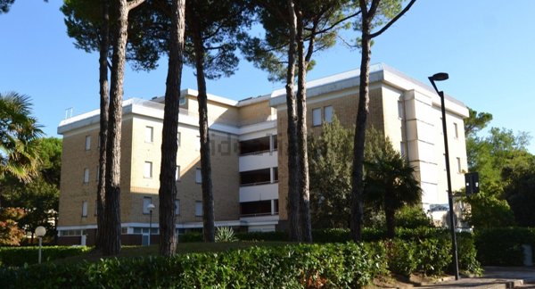 immagine annuncio 0 di 1