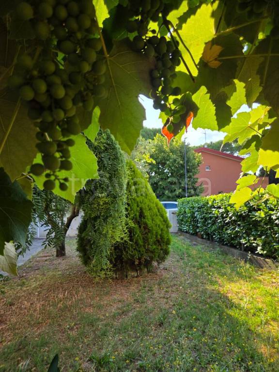 casa indipendente in vendita a San Michele al Tagliamento in zona Bibione