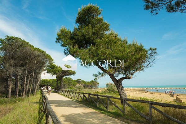 negozio in vendita a San Michele al Tagliamento in zona Bibione