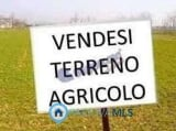 terreno agricolo in vendita a Santa Maria di Sala