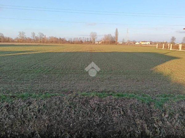 terreno agricolo in vendita a Santa Maria di Sala in zona Caltana