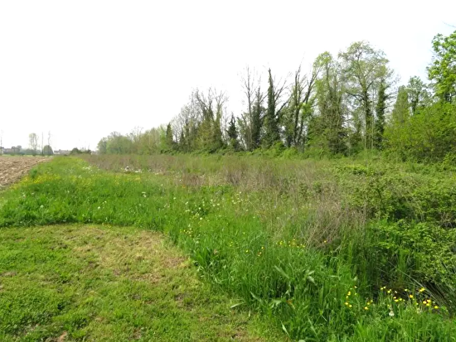 terreno agricolo in vendita a Santa Maria di Sala in zona Caselle