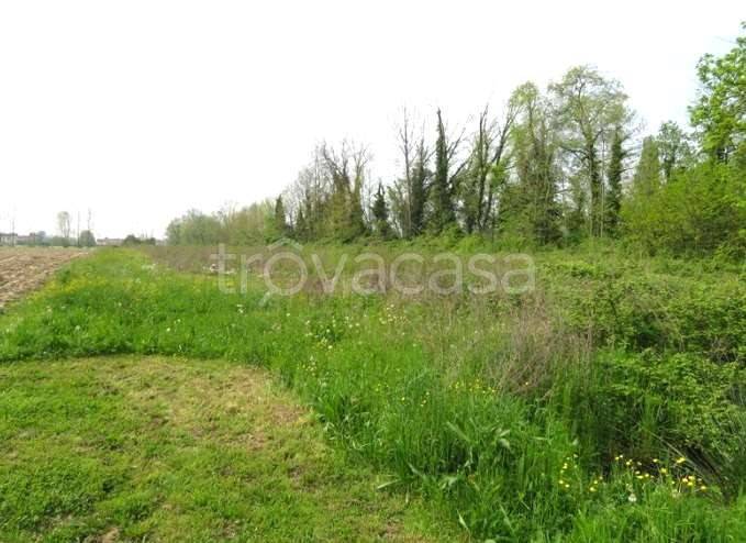 appartamento in vendita a Santa Maria di Sala in zona Caltana