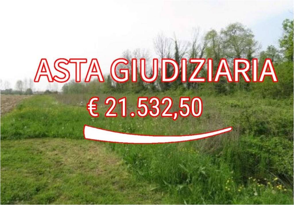 terreno agricolo in vendita a Santa Maria di Sala in zona Caselle