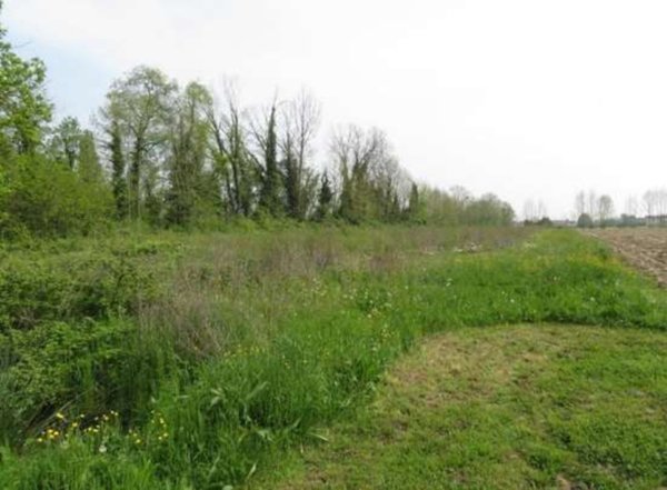 terreno agricolo in vendita a Santa Maria di Sala in zona Caselle