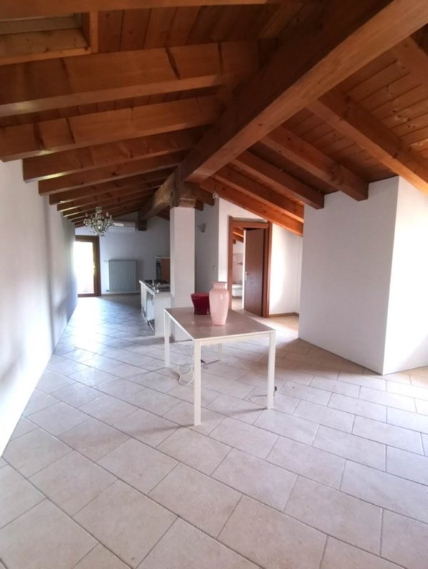 appartamento in vendita a Santa Maria di Sala in zona Veternigo