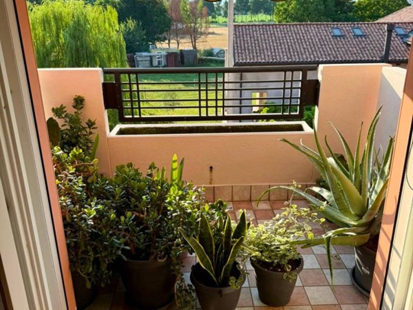 appartamento in vendita a Santa Maria di Sala in zona Caselle