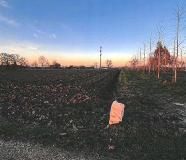 terreno agricolo in vendita a Santa Maria di Sala in zona Veternigo