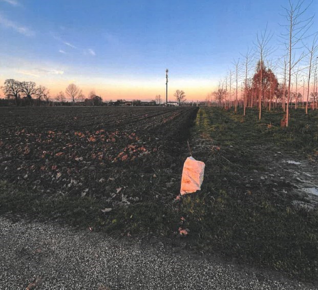 terreno agricolo in vendita a Santa Maria di Sala in zona Stigliano
