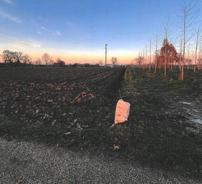 terreno agricolo in vendita a Santa Maria di Sala