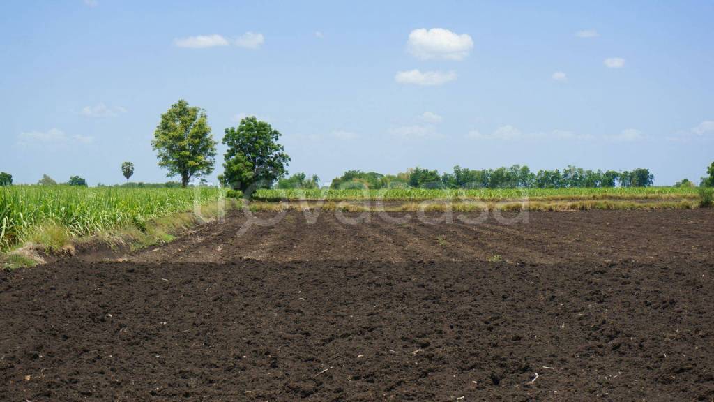 terreno agricolo in vendita a Santa Maria di Sala