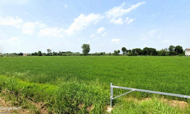 terreno agricolo in vendita a Santa Maria di Sala