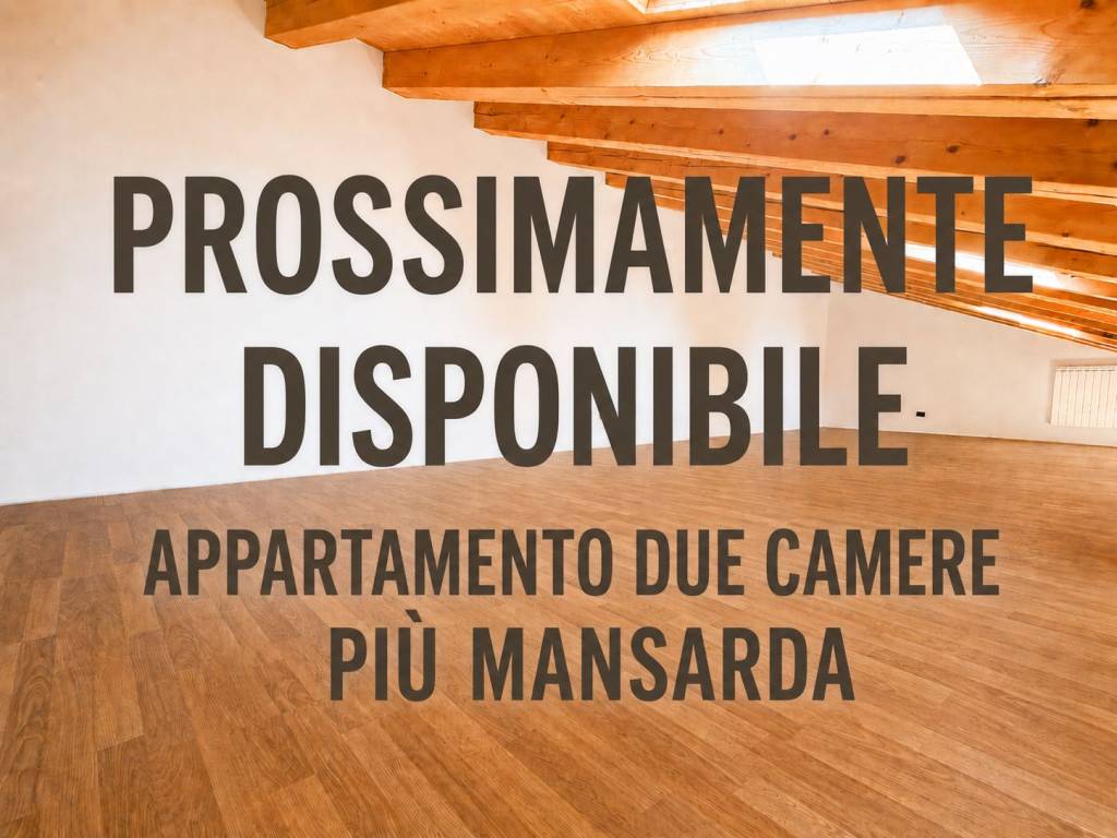 appartamento in vendita a Santa Maria di Sala