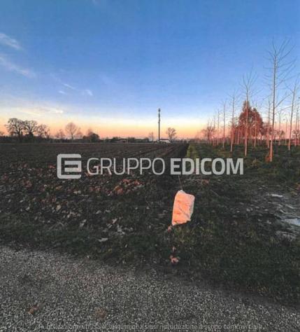terreno agricolo in vendita a Santa Maria di Sala in zona Veternigo
