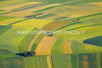 terreno in vendita a Santa Maria di Sala in zona Caselle