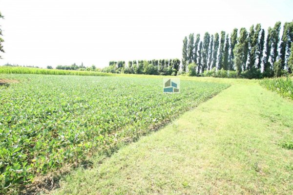 terreno in vendita a Santa Maria di Sala in zona Stigliano
