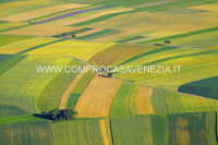 terreno in vendita a Santa Maria di Sala in zona Caselle