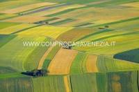 terreno in vendita a Santa Maria di Sala in zona Caselle