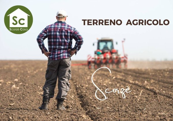 terreno agricolo in vendita a Scorzè in zona Peseggia