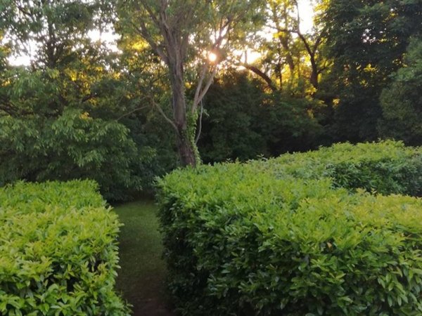 casa indipendente in vendita a Scorzè