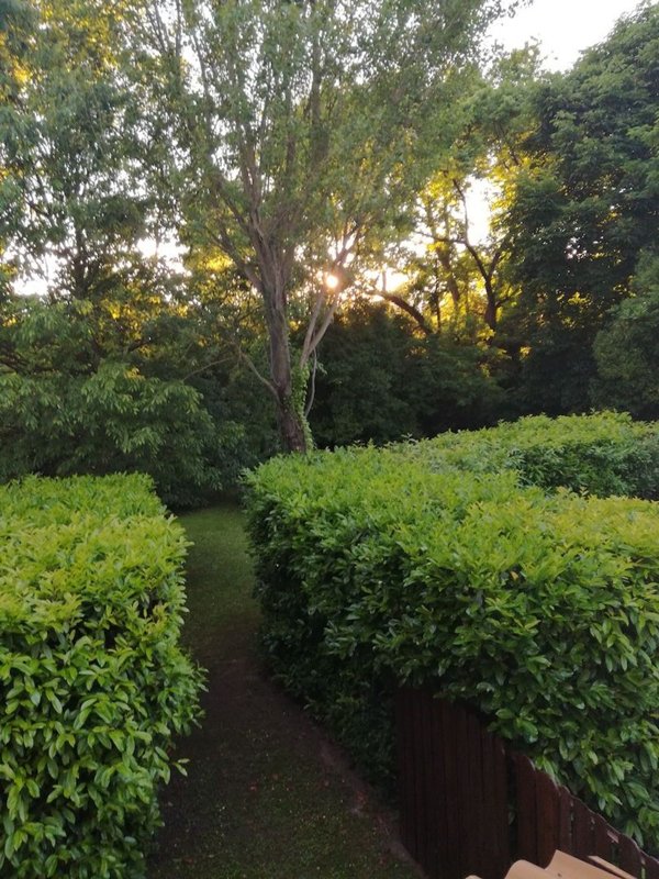 immagine annuncio 0 di 1