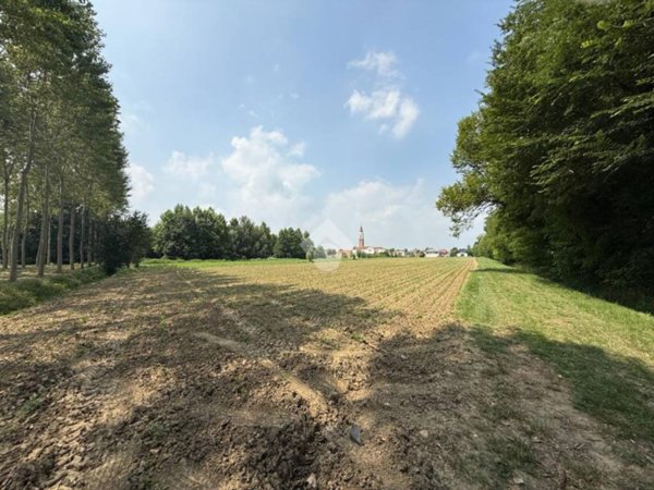 terreno agricolo in vendita a Scorzè in zona Rio San Martino