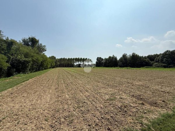 terreno agricolo in vendita a Scorzè in zona Rio San Martino