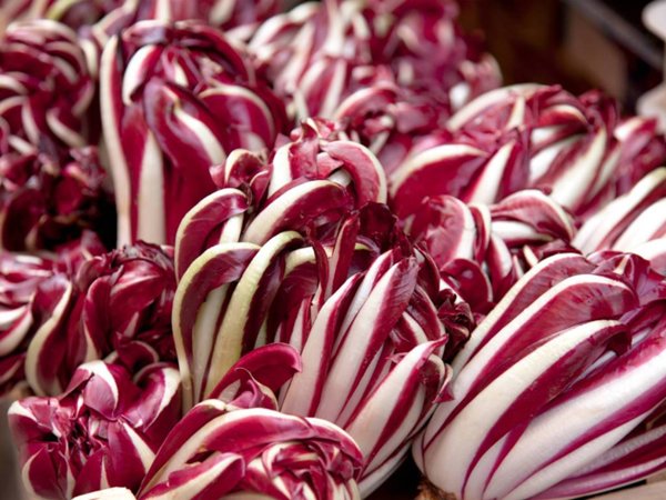 terreno agricolo in vendita a Scorzè in zona Cappella